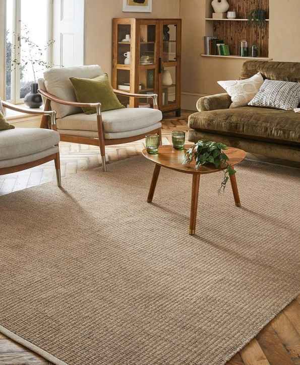 Living room rug